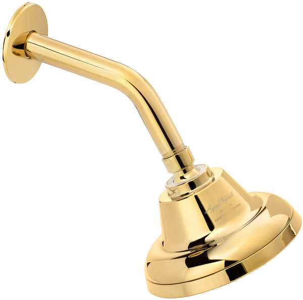 Shower Arm & Flange