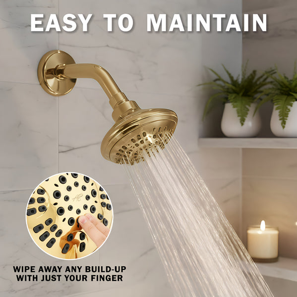 6 Function Luxury Shower Head