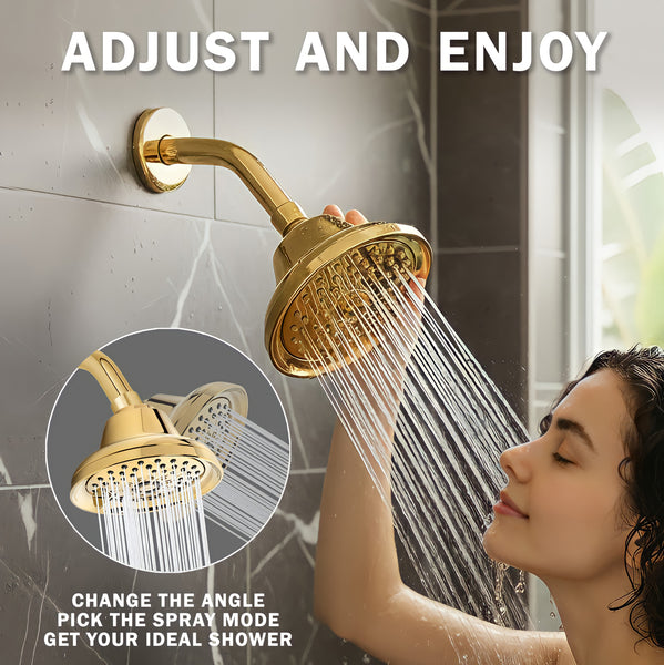 Massage & Mist Shower Head